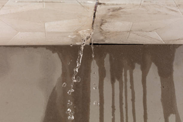 Professional Structural Drying technician working in Evansville, IL
